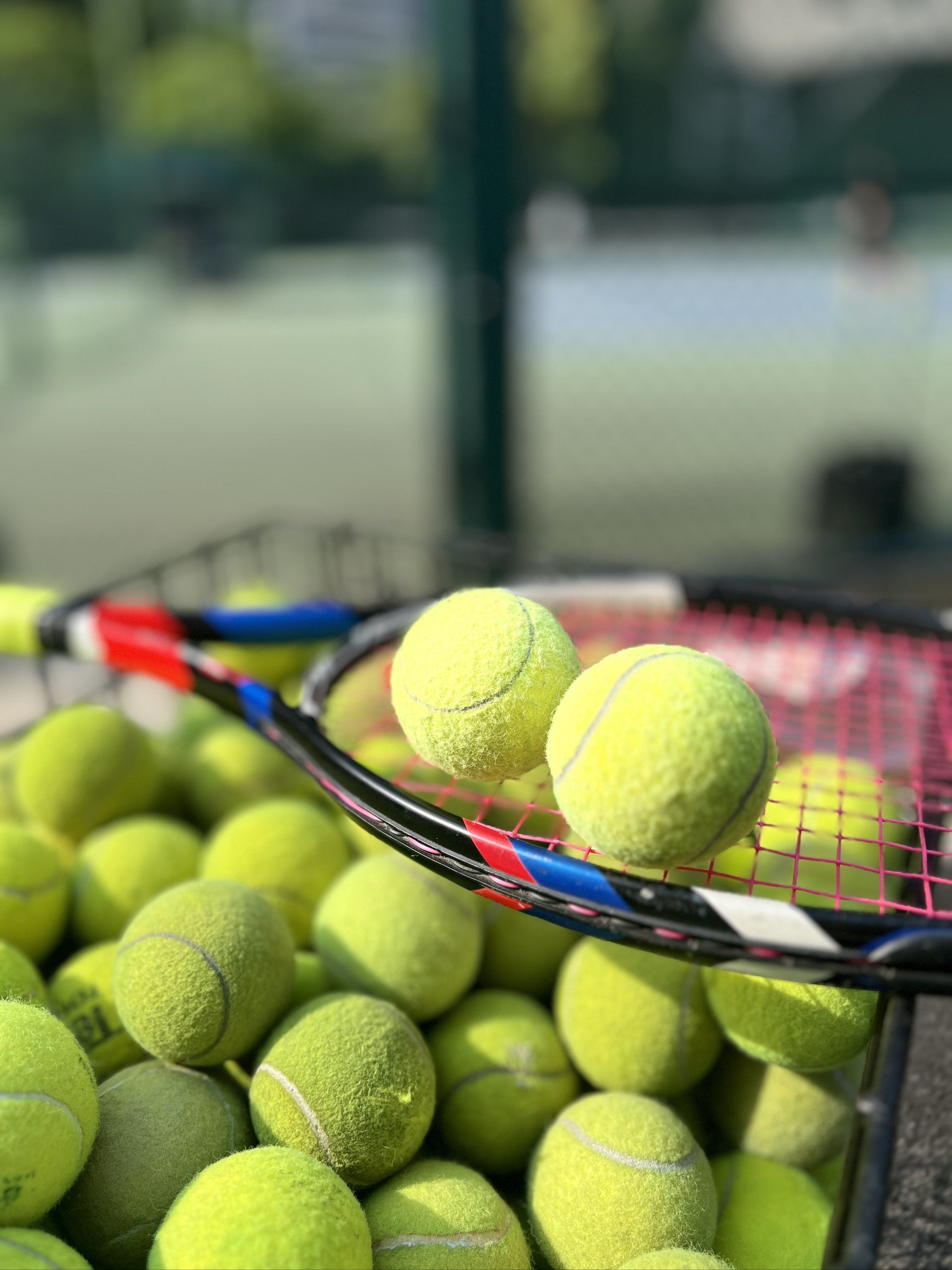 球员在全球 球员在全球