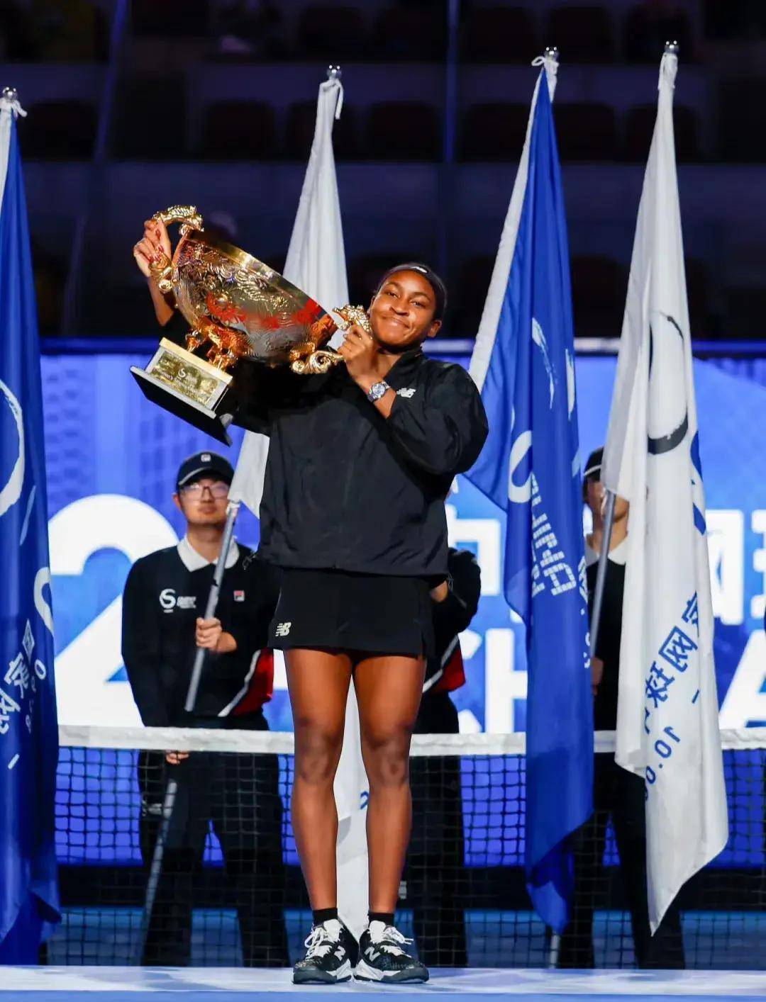 胜利战略 胜利战略