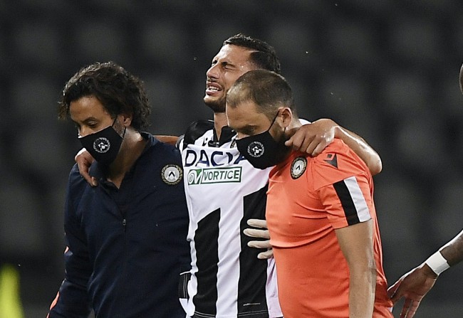 仅决定了比 仅决定了比